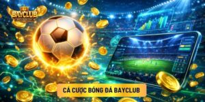 Cá Cược Bóng Đá BAYCLUB