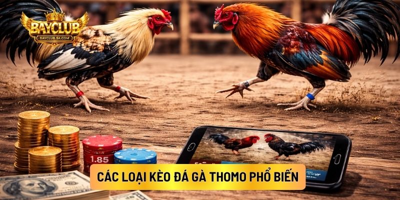 Các Loại Kèo Đá Gà Thomo Phổ Biến