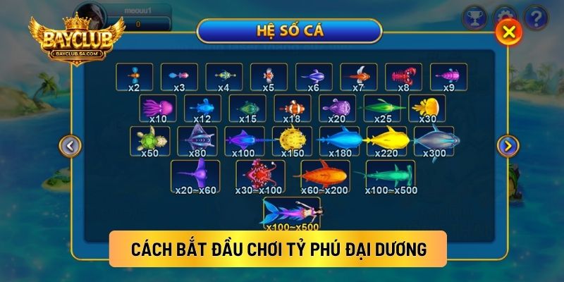 Cách Bắt Đầu Chơi Tỷ Phú Đại Dương