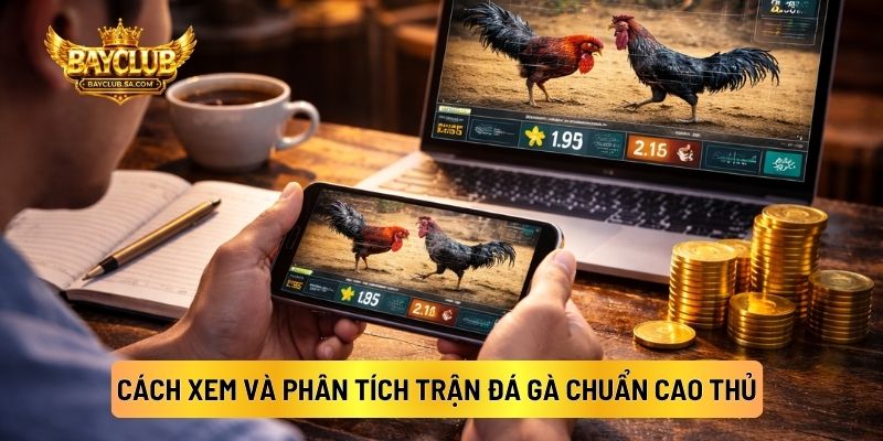  Cách Xem Và Phân Tích Trận Đá Gà Chuẩn Cao Thủ