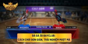 Đá Gà 3D BAYCLUB: Cách Chơi Đơn Giản, Trải Nghiệm Mượt Mà