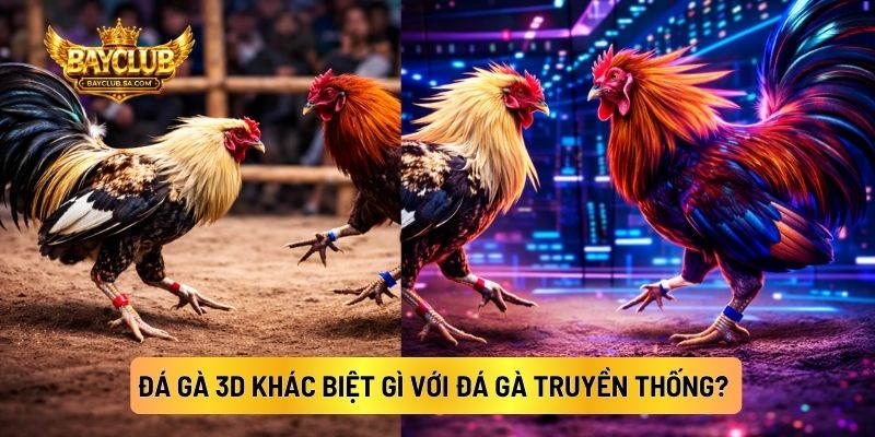 Đá Gà 3D Khác Biệt Gì Với Đá Gà Truyền Thống?