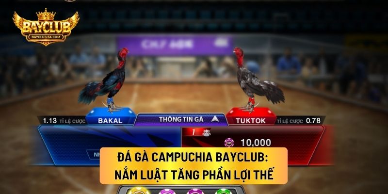 Đá Gà Campuchia BAYCLUB: Nắm Luật Tăng Phần Lợi Thế