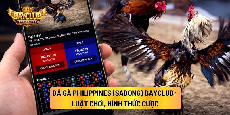 Đá Gà Philippines (Sabong) BAYCLUB: Luật Chơi, Hình Thức Cược