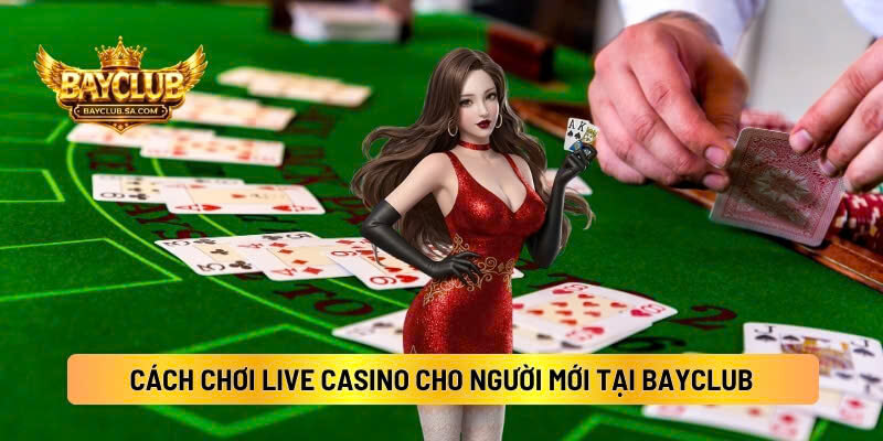 Hướng Dẫn Cách Chơi Live Casino Cho Người Mới Tại BAYCLUB