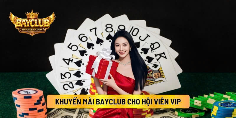 Khuyến mãi BAYCLUB  Cho Hội Viên VIP - Trải Nghiệm Đẳng Cấp Nhận Thưởng Xứng Tầm