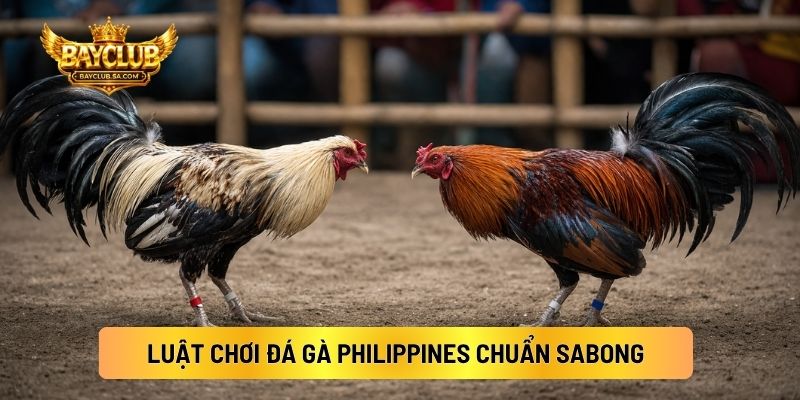 Luật Chơi Đá Gà Philippines Chuẩn Sabong
